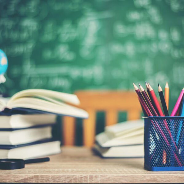 WSE case study banner