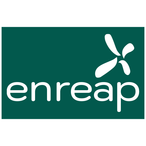 enreap-logo-type-6