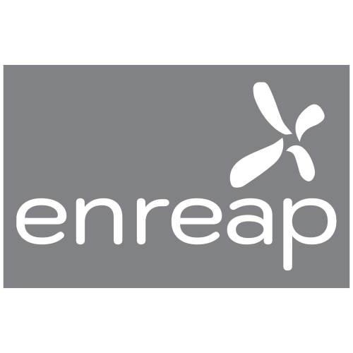 enreap-logo-type-2