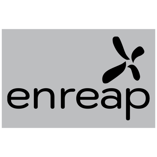 enreap-logo-type-1