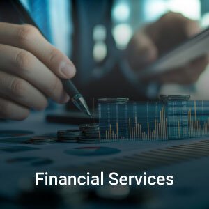 BFSI LP - financial services