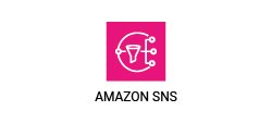 amazon-snns
